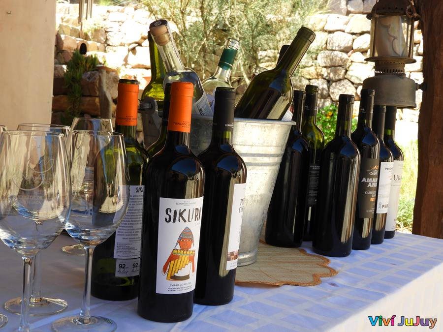 Degustación en Bodega Fernando Dupont